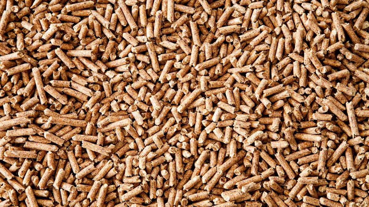 Pellet Piaski — produkcja w tartaku
