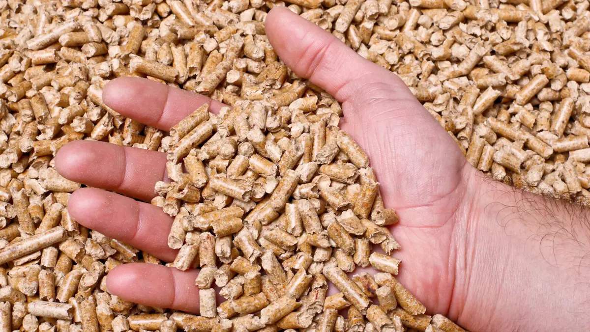 Pellet Piaski